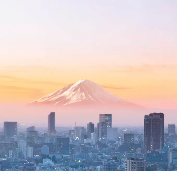 Japan Corporate Bond Market Research 2025