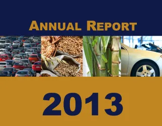2013 Annual Report