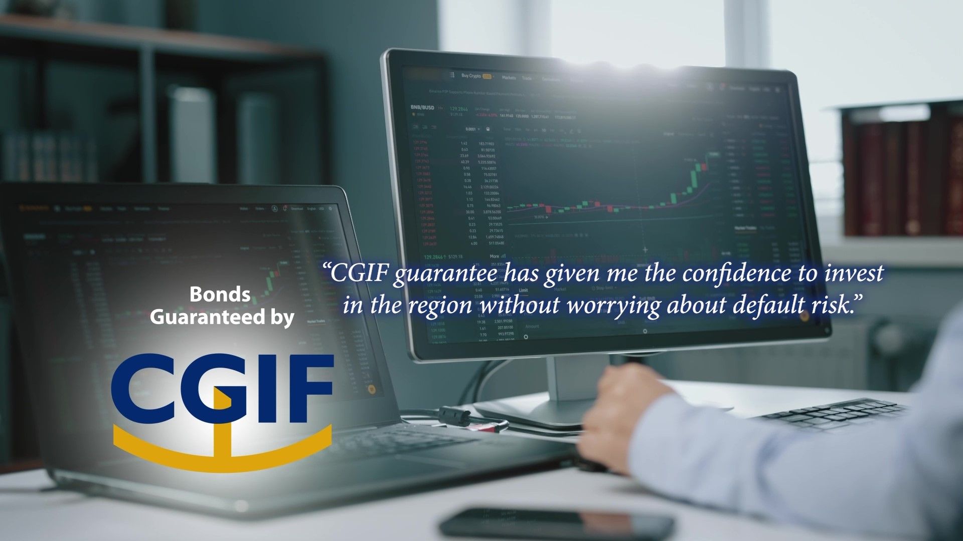 Introducing Credit Guarantee and Investment Facility (Investor Version)