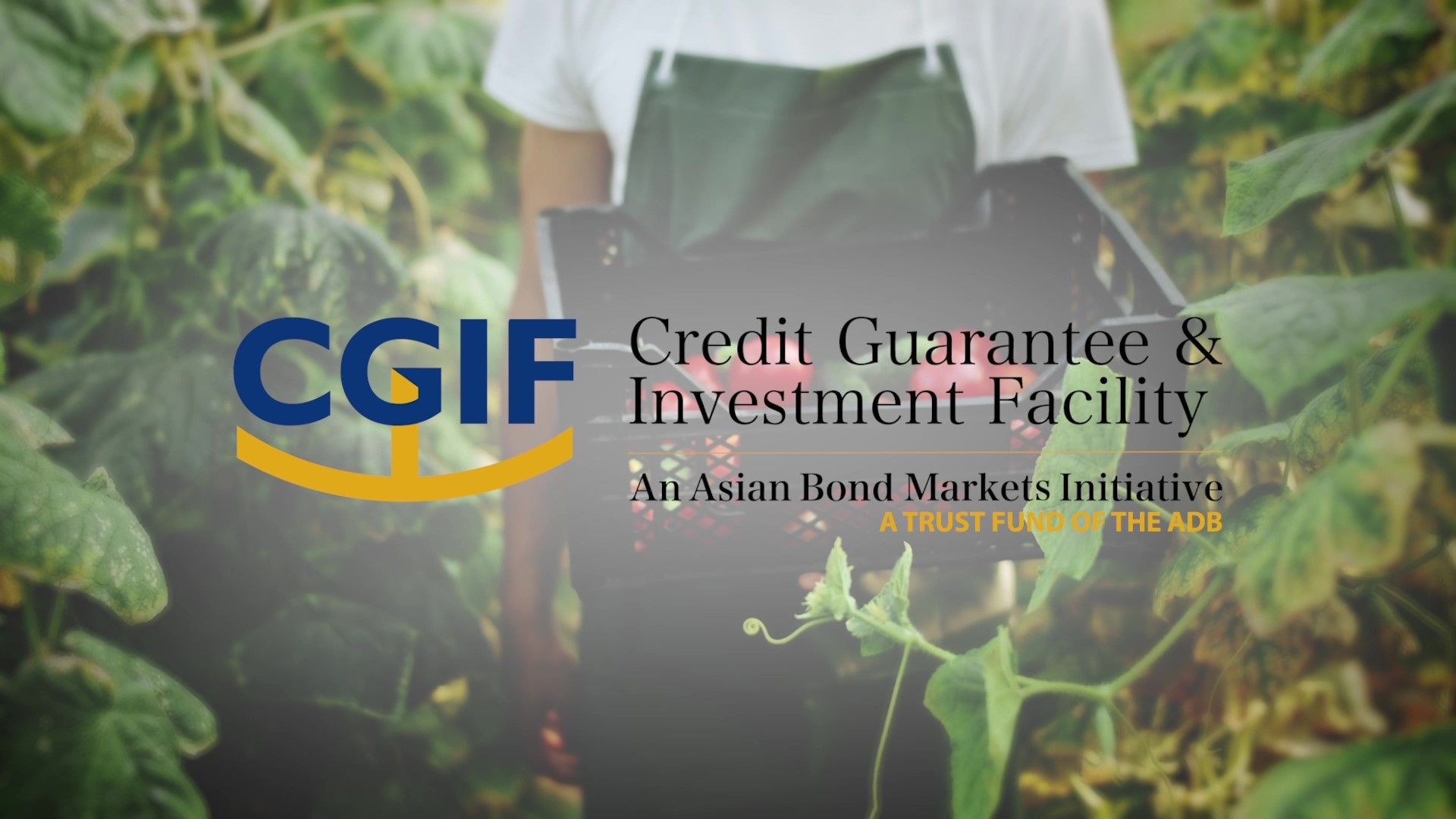 Introducing Credit Guarantee and Investment Facility (Issuer Version)